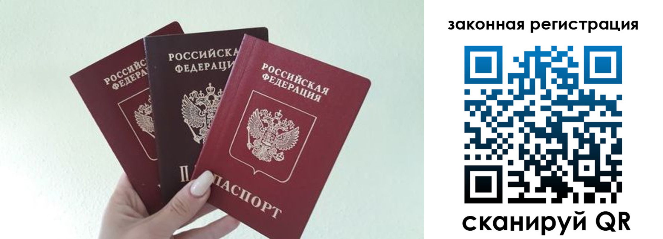 прописка 2025 в Кингисеппе